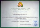 Сертификат слинго консультанта